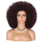 WIGHUB&SALON – Perruque Synthétique Lace Front Afro Afro – Réf. WS-KXLW85