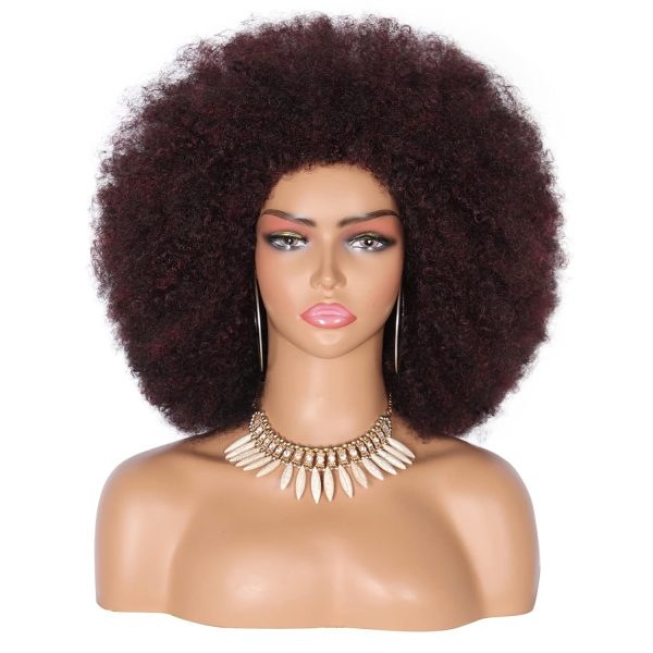 WIGHUB&SALON – Perruque Synthétique Lace Front Afro Afro – Réf. WS-KXLW85