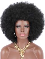 Perruque Synthétique Lace Front Afro Afro – Réf. WS-A0EPHO