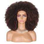 Perruque Synthétique Lace Front Afro Afro