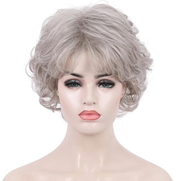 WIGHUB&SALON – Perruque Synthétique Lace Front Bouclé avec Frange – gris