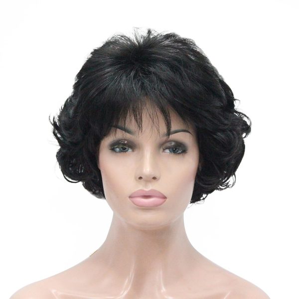 WIGHUB&SALON – Perruque Synthétique Lace Front Bouclé avec Frange