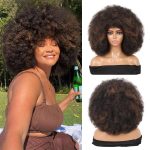 WIGHUB&SALON – Perruque Synthétique Lace Front Afro Afro – Réf. WS-KVXNS6